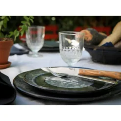 OPINEL Coffret 4 Couteaux de Table Olivier Facette* Couverts