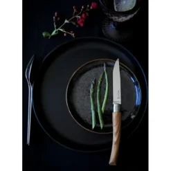 OPINEL Coffret 4 Couteaux de Table Olivier Table Chic* Couverts