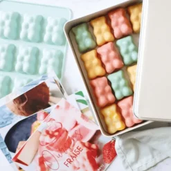 SCRAPCOOKING Coffret Oursons Summer Edition Limitée* Moule Silicone