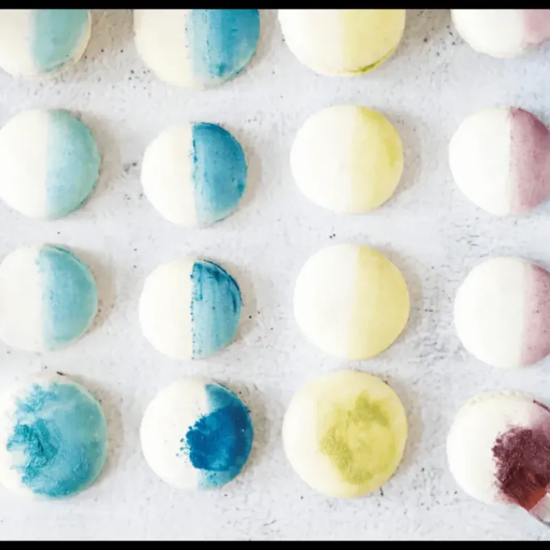 SCRAPCOOKING Colorant Alimentaire de Surface Irisé Turquoise 5 g* Colorants Alimentaires