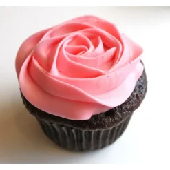 SCRAPCOOKING Colorant Alimentaire en Poudre Rose 5g* Colorants Alimentaires