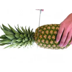 IBILI Coupe Ananas Plastique Ø 8,5 cm x H 25 cm* Coupe Fruits