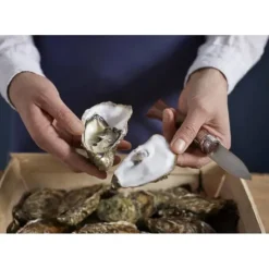 OPINEL Couteau à Huîtres N°9* Couteau À Poisson