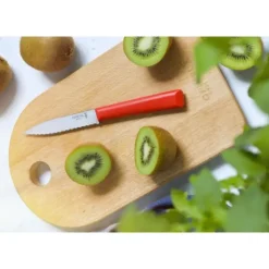 OPINEL Couteau d'Office 10 cm Cranté Rouge Les Essentiels +* Couteau D'office