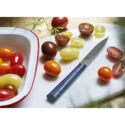 OPINEL Couteau d'Office 10 cm Cranté Bleu Les Essentiels +* Couteau D'office