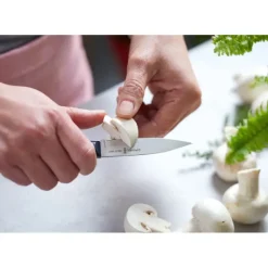 OPINEL Couteau d'Office N°225 Intempora* Couteau D'office