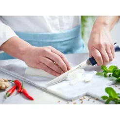 OPINEL Couteau Effilé N°221 Intempora* Couteau À Poisson