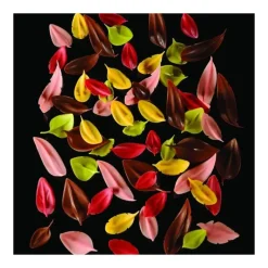 PAVONI Couteau Inox Feuille Large 6 x 4,4 cm Flychoc* Ustensiles Chocolat