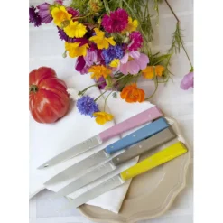 OPINEL Couteaux de Table (x4) Campagne Bon Appétit !* Couverts