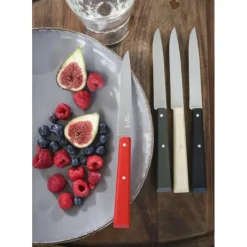 OPINEL Couteaux de Table (x4) Loft Bon Appétit !* Couverts