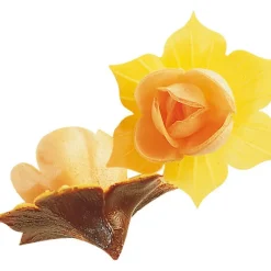 FLORENSUC Fleurs de Jonquille orange x5 - en Azyme* Décoration Comestible