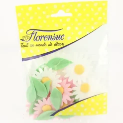 FLORENSUC Fleurs de Marguerites roses et blanches x12 - en Azyme* Décoration Comestible