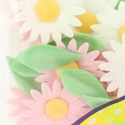 FLORENSUC Fleurs de Marguerites roses et blanches x12 - en Azyme* Décoration Comestible