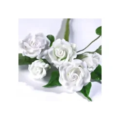 RENSHAW Gum Paste Blanc 250 g* Pâte À Sucre