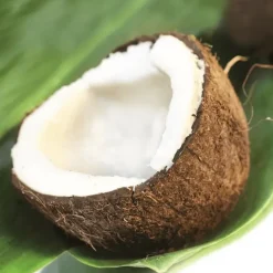 TERRE EXOTIQUE Huile de Coco 150 ml* Produits Pâtisserie|Huiles