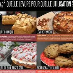 PATISDECOR Levure Chimique 60 g Patisdécor* Levures