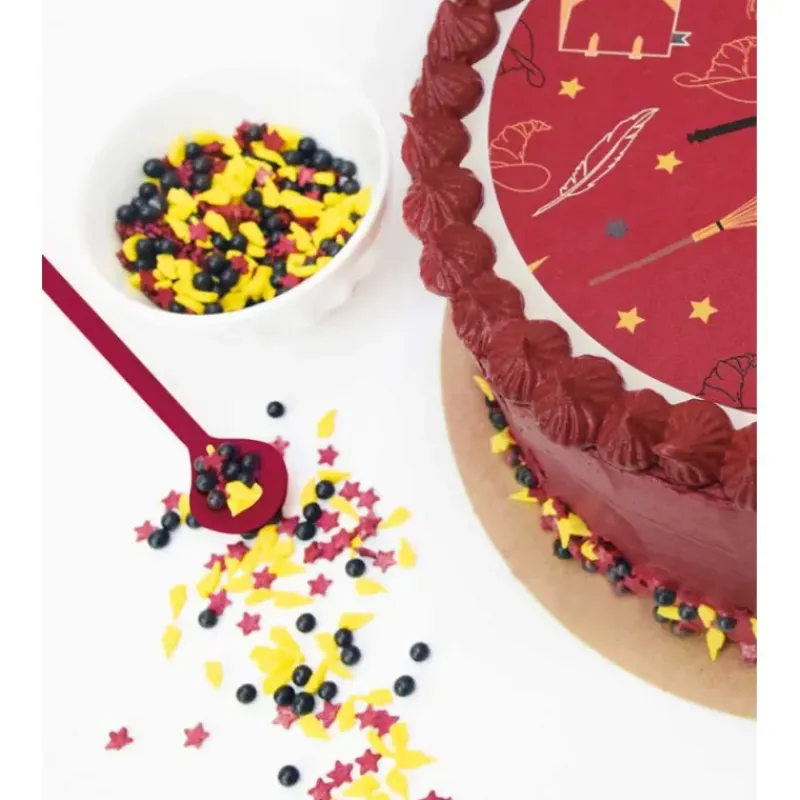 SCRAPCOOKING Mallette décors en sucre Wizard Mix 61g* Décoration Comestible