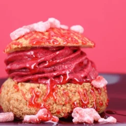 PATISDECOR Mix Sorbets Maison 300 g Patisdécor* Préparation Pâtisserie