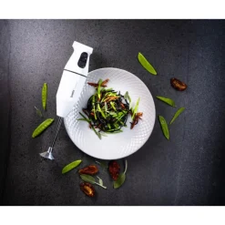 BAMIX Mixeur Plongeant Sans Fil Cordless Blanc* Mixeur Plongeant