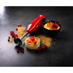 BAMIX Mixeur Plongeant Sans Fil Cordless Rouge* Mixeur Plongeant