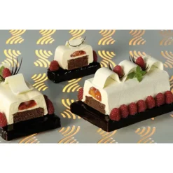 MATFER Moule 2 Bûches Trapèze Thermoformé (x10)* Moules À Gâteaux