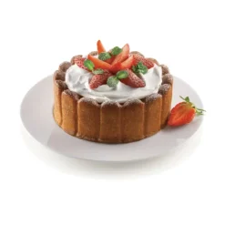 MALLARD FERRIERE Moule à Charlotte Silicone 180 mm x H 60 mm Silikomart* Moule Silicone