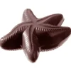 CHOCOLATE WORLD Moule à Chocolat Etoile de Mer (x2)* Moules À Chocolat