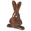 BARRY Moule à Chocolat Lapin 19 cm* Moules À Chocolat