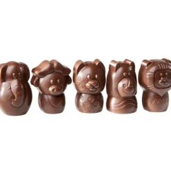 CHOCOLATE WORLD Moule Chocolat Animaux Savane 38,5 mm (x15)* Moules À Chocolat