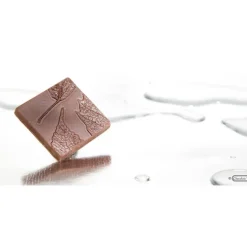 CHOCOLATE WORLD Moule Chocolat Carré avec Feuille (x10)* Moules À Chocolat