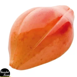 Chocolat Form Moule Chocolat Fève Cacao 47,5 mm (x24)* Moules À Chocolat