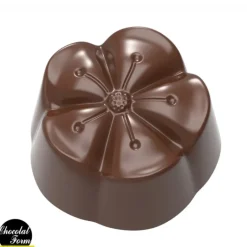 Chocolat Form Moule Chocolat Mochi 2,8 cm (x21) Chocolate Form* Moules À Chocolat