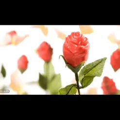 CHOCOLATE WORLD Moule Chocolat Rose Ouverte 12 Cavités* Moules À Chocolat