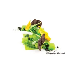 SILIKOMART Moule Silicone 35 Carré Bombé 5ml Professional* Moule Silicone