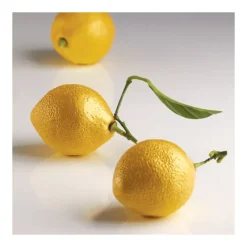 PAVONI Moule Silicone 8 Citrons 85 ml Cédric Grolet* Moule Silicone|Moules À Gâteaux