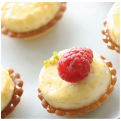 FLEXIPAN Moule Silicone 54 Mini-cylindres 3,8 cm x H 1 cm* Moule Silicone