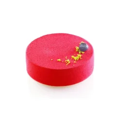 SILIKOMART Moule Silicone 15 Ronds Ø10,5 x H4 cm 341ml Professional* Moule Silicone|Moules À Gâteaux