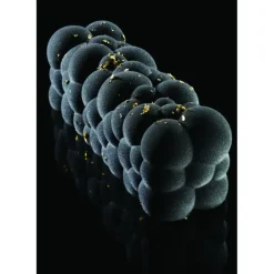 PAVONI Moule Silicone Bûche Atomic 25 x 8 cm x H 8 cm* Moule Silicone|Moules À Gâteaux