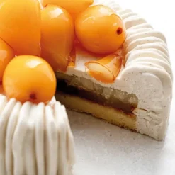 PAVONI Moule Silicone Charlotte 18 cm x H 6,5 cm Cédric Grolet* Moule Silicone