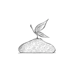 PAVONI Moule Silicone Citron 1215 ml Cédric Grolet* Moule Silicone|Moules À Gâteaux