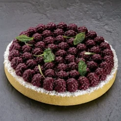 PAVONI Moule Silicone Décor Mûres Ø 18 cm x H 2,2 cm* Moule Silicone