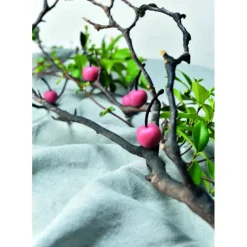 PAVONI Moule Silicone Gourmand Cerise Ø 2,6 x H 1,2 cm (x35)* Moule Silicone