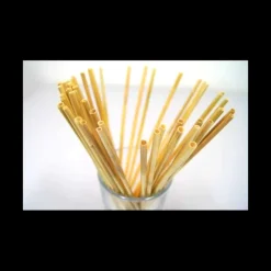 LEBRUN Paille Réutilisable en Roseau 20cm x20* Accessoires Bar