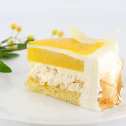 PATISDECOR Préparation Bavarois Gel Citron 100 g Patisdécor* Préparation Pâtisserie