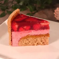 PATISDECOR Préparation Bavarois Gel Fraise 100 g Patisdécor* Préparation Pâtisserie