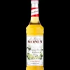 MONIN Sirop Fleur de Sureau 70 cl* Jus, Sirops