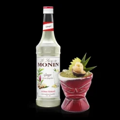 MONIN Sirop Gingembre 70 cl* Jus, Sirops