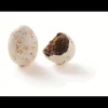REVILLON Œufs en Chocolat Praliné 2,5 kg Révillon* Confiserie