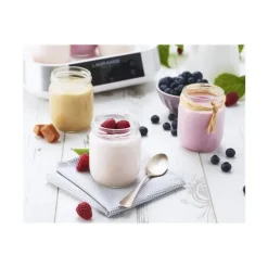 LAGRANGE Yaourtière 9 pots 16 W* Yaourtière